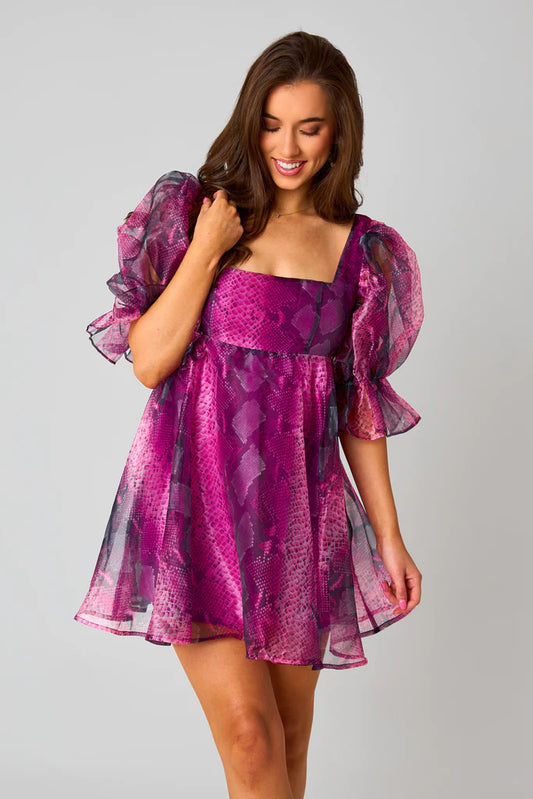 Betsy Puff Sleeve Babydoll Dress